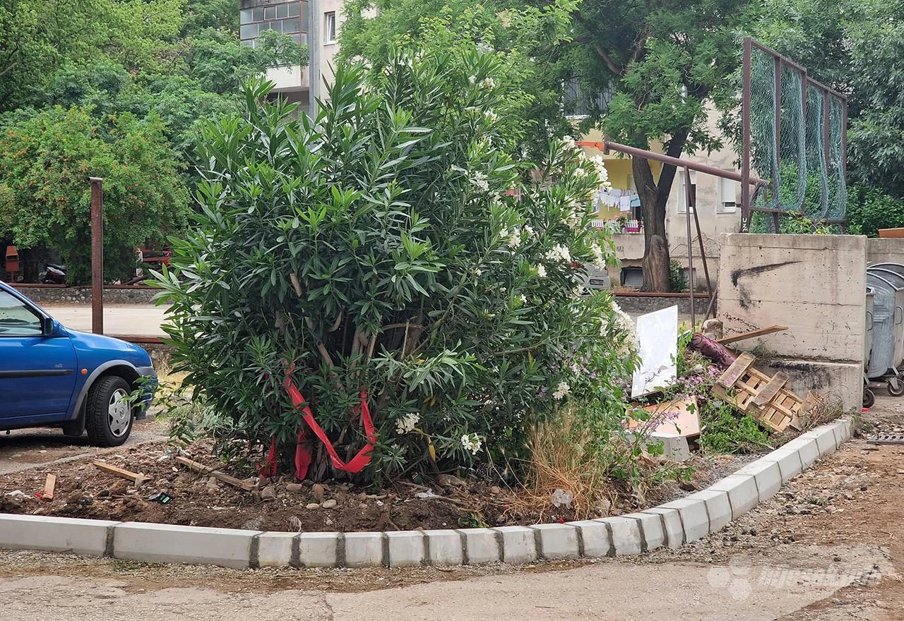 Mostar: Ma 'ta će oznake!