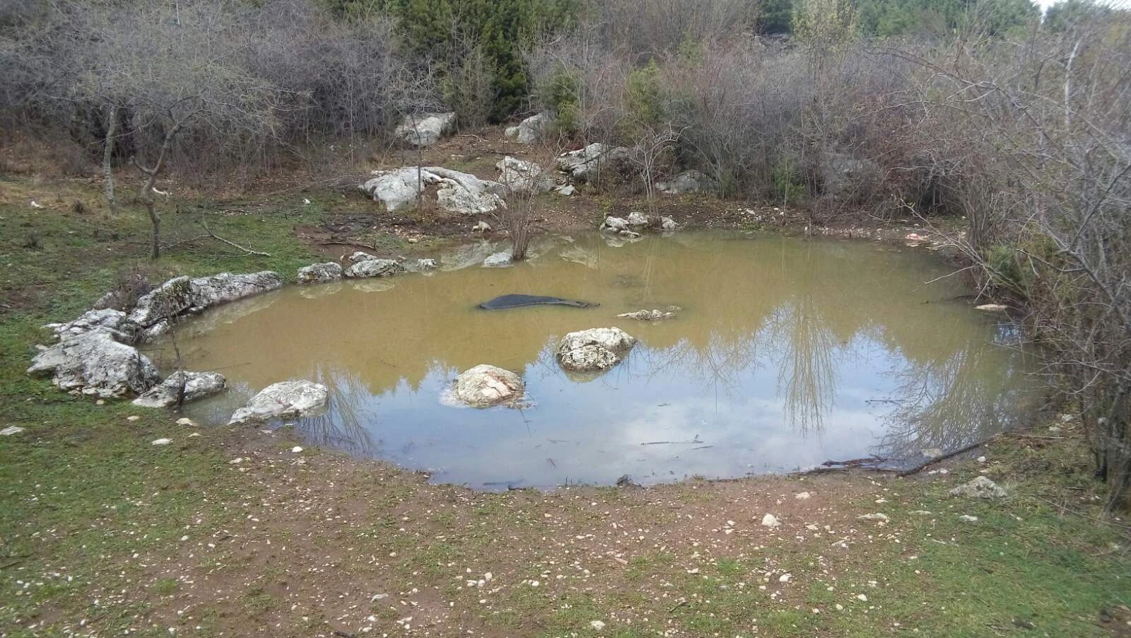 Planinica: Konj se utopio u bunaru, planinari pitaju tko može ukloniti leš životinje
