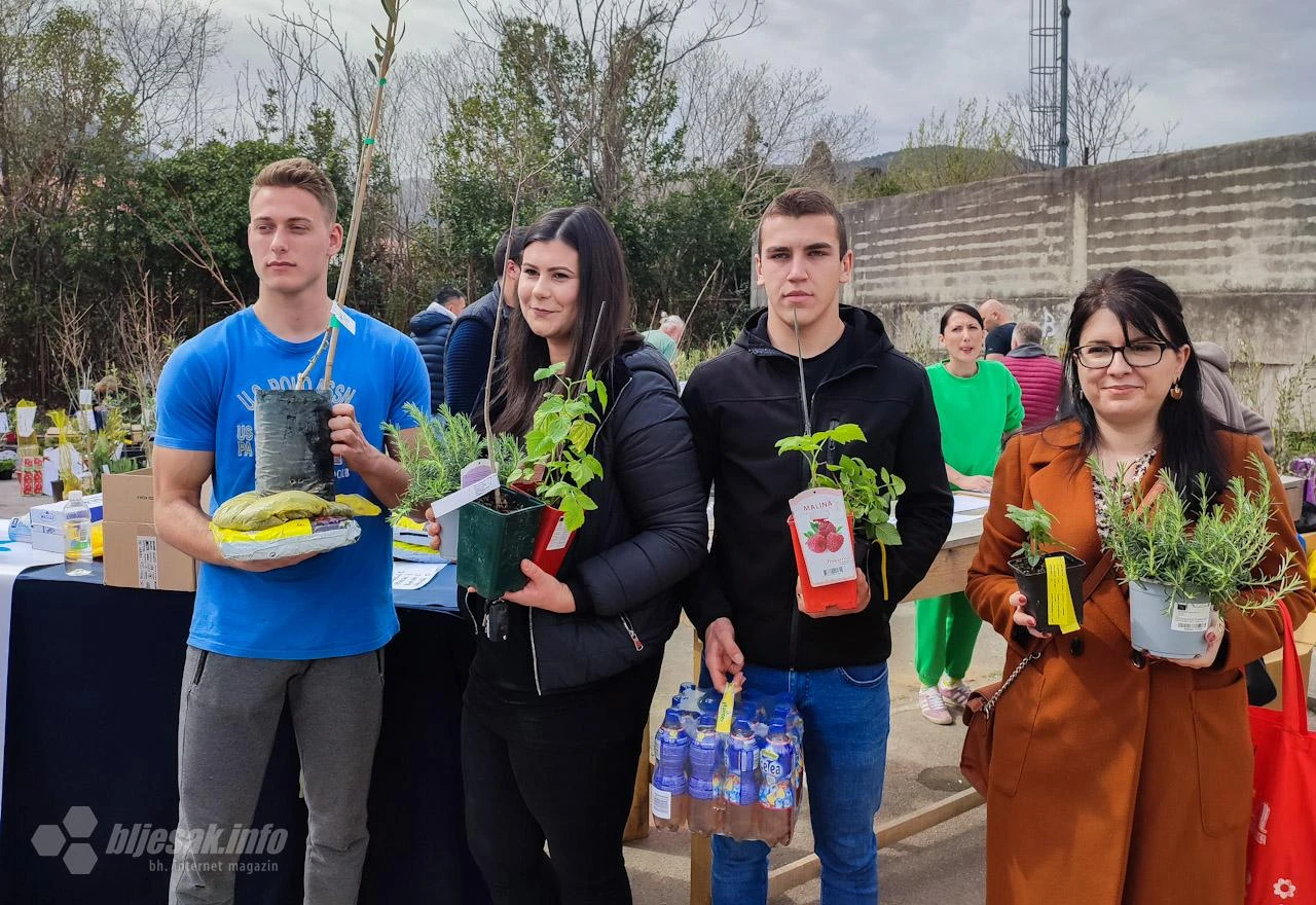 Mostarci preuzimaju sadnice, organizatori: Malo bi bilo i 5.000
