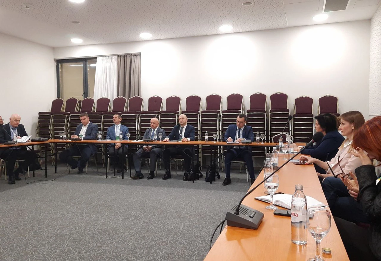 Džindić: Energetsku krizu rješavati rješavati sistemskim mjerama