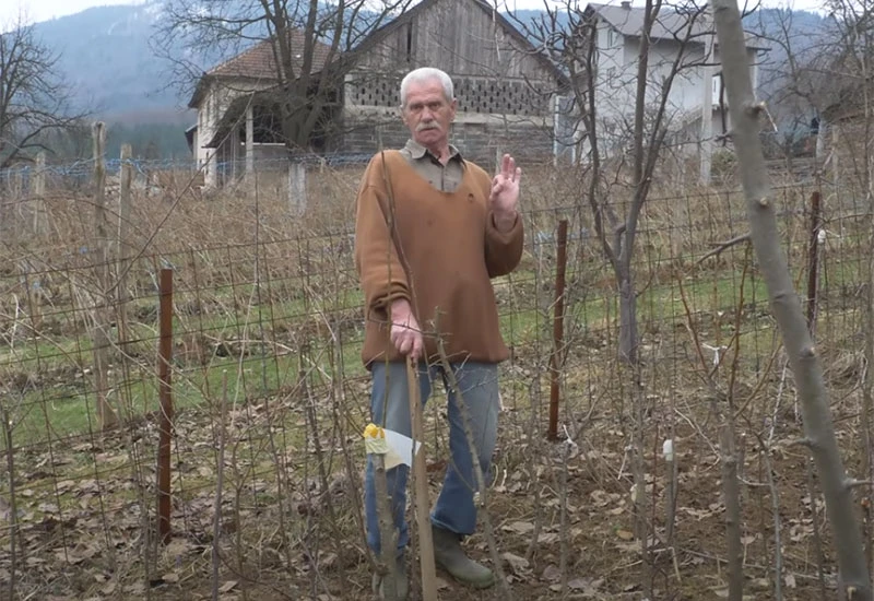 Čarobnjak za voće kraj Viteza
