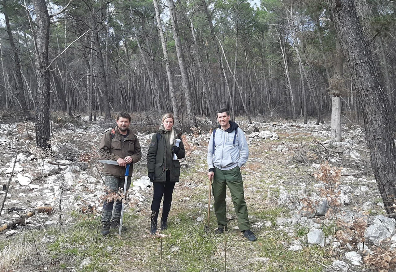 Sanacija požarišta na području Općine Čitluk