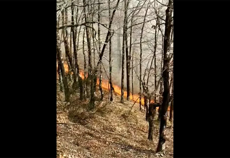 Požar u Jablanici: Vatrogasci nemoćni, jedva spasili živu glavu