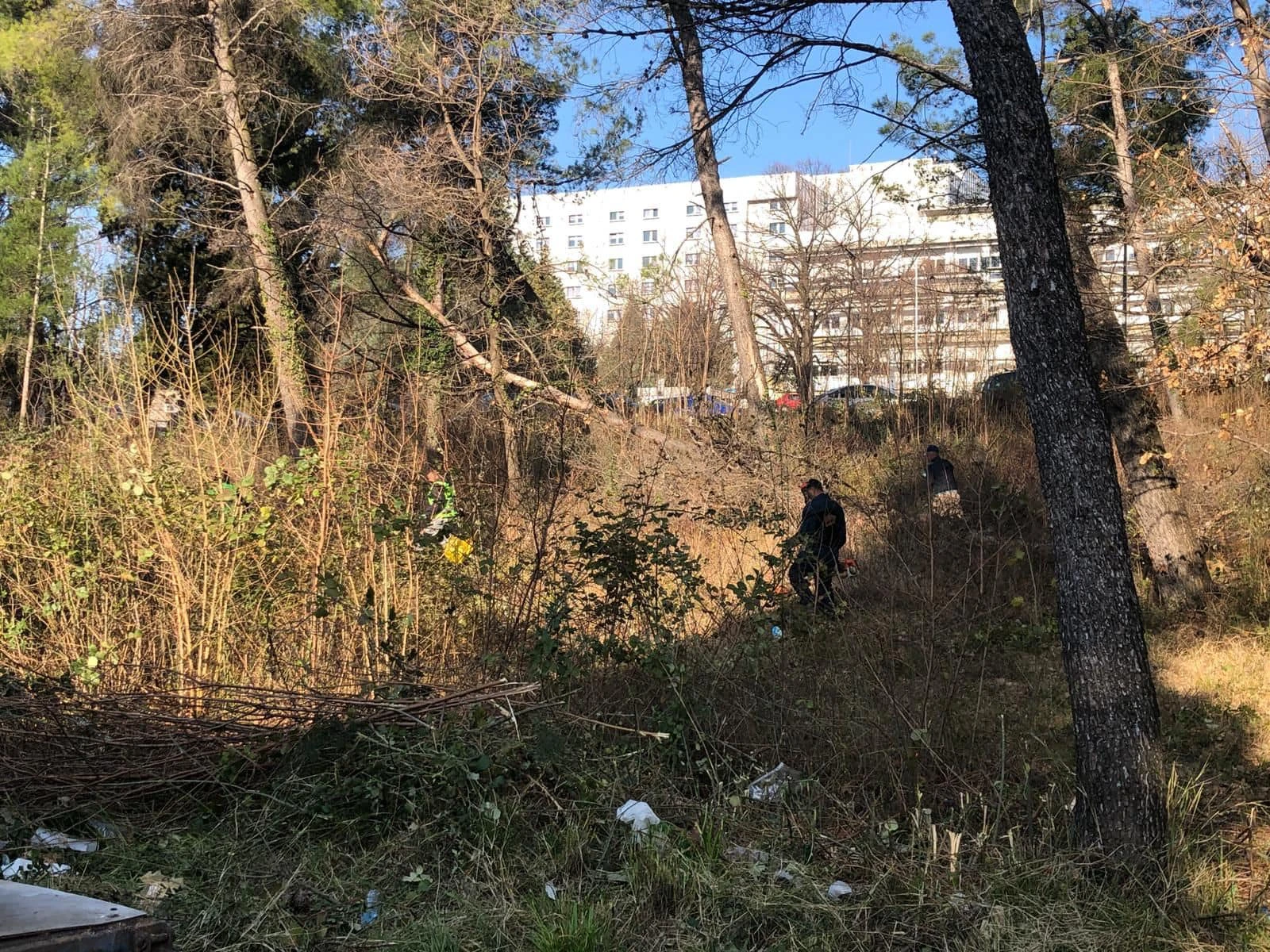 Čišćenje zelene površine na Bijelom brijegu