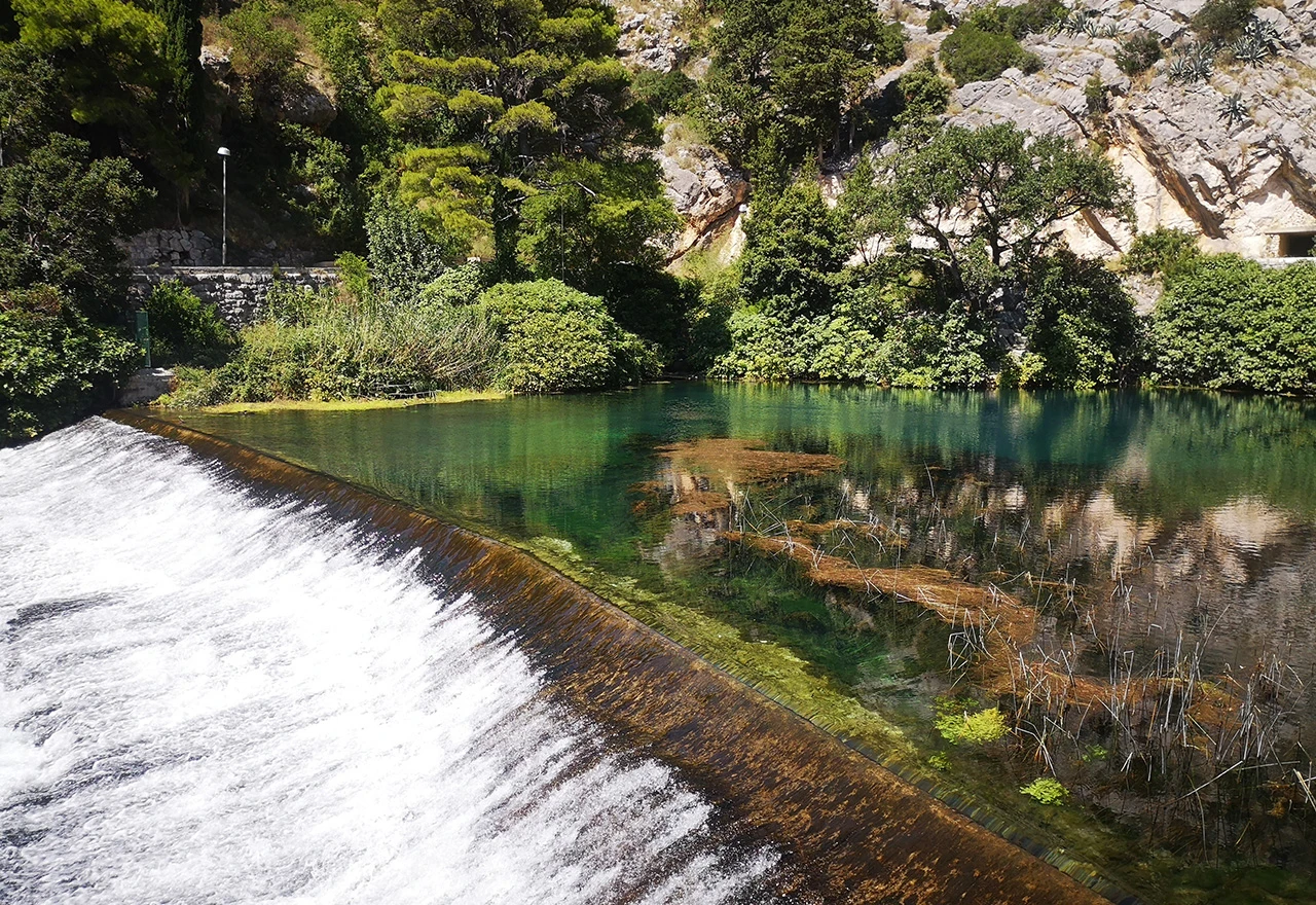 Znate li koja je vrsta među najugroženijima u Hercegovini?