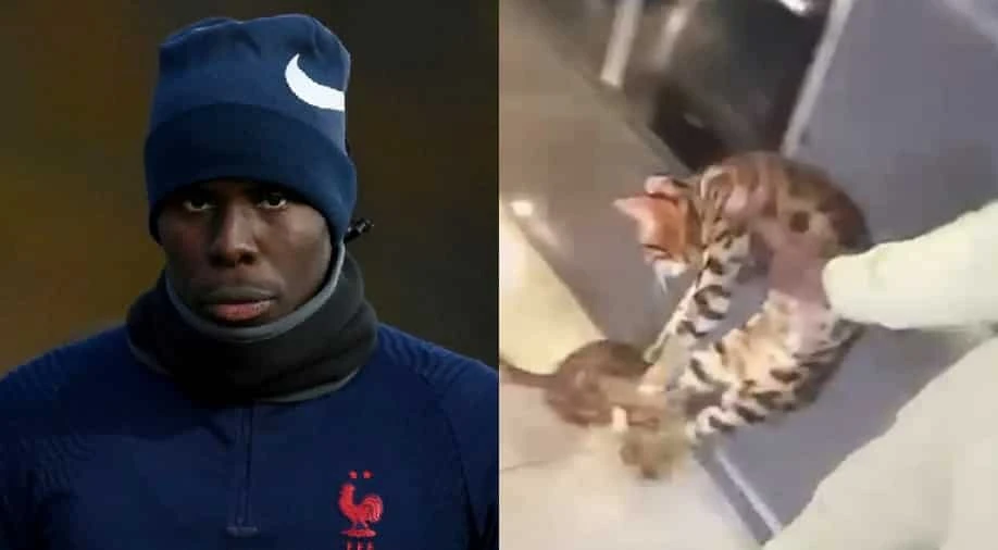 West Ham novčano kaznio Zoumu zbog nasilja nad životinjama