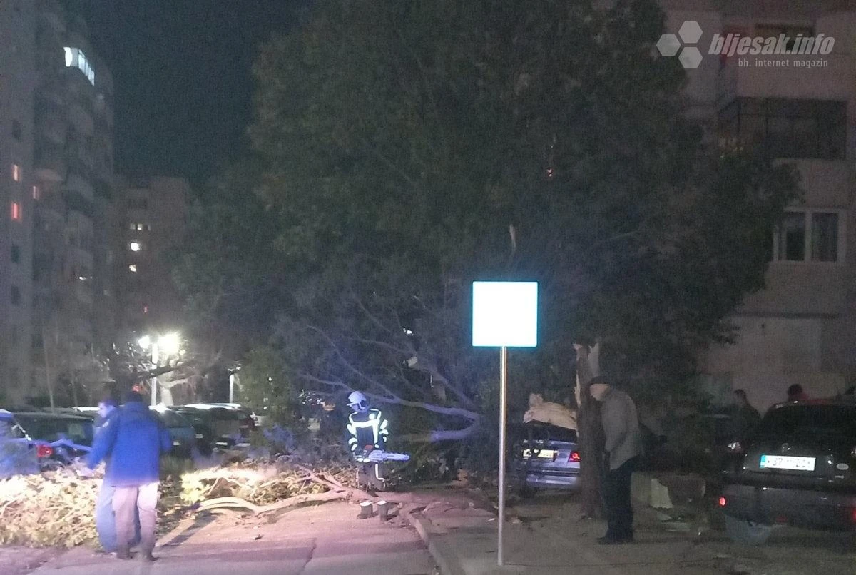 Mostar: Padaju stabla