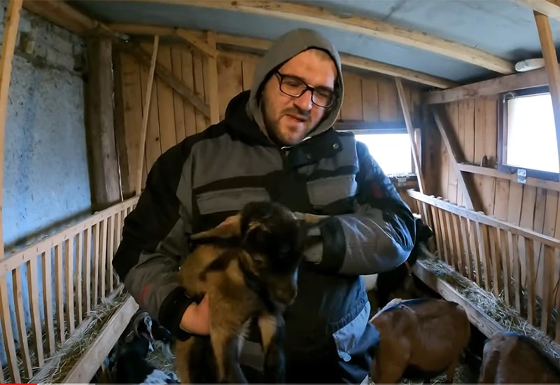 Koze - najbrži put izlaska iz siromaštva
