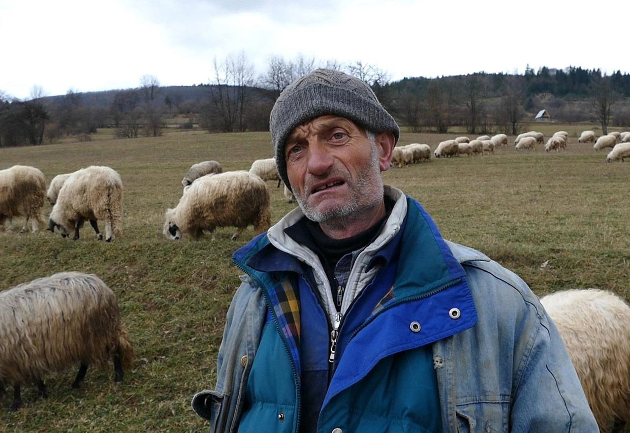 Prodat ću svoje ovce jer se ovako više ne može