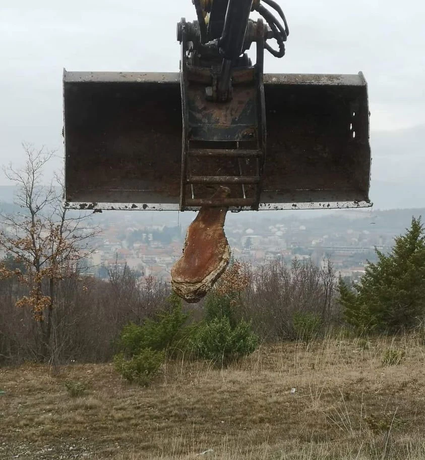 Umjesto na sušenju zbog visokih temperatura pršuti završili na deponiji?