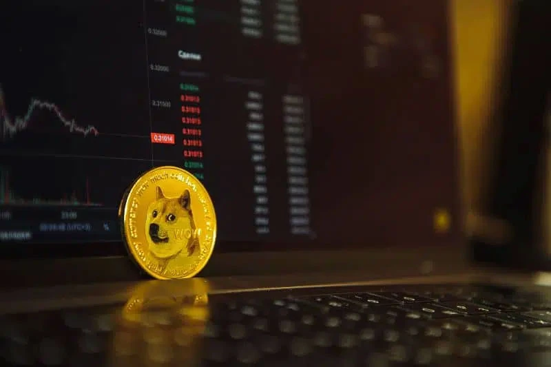 Musk odabrao dogecoin