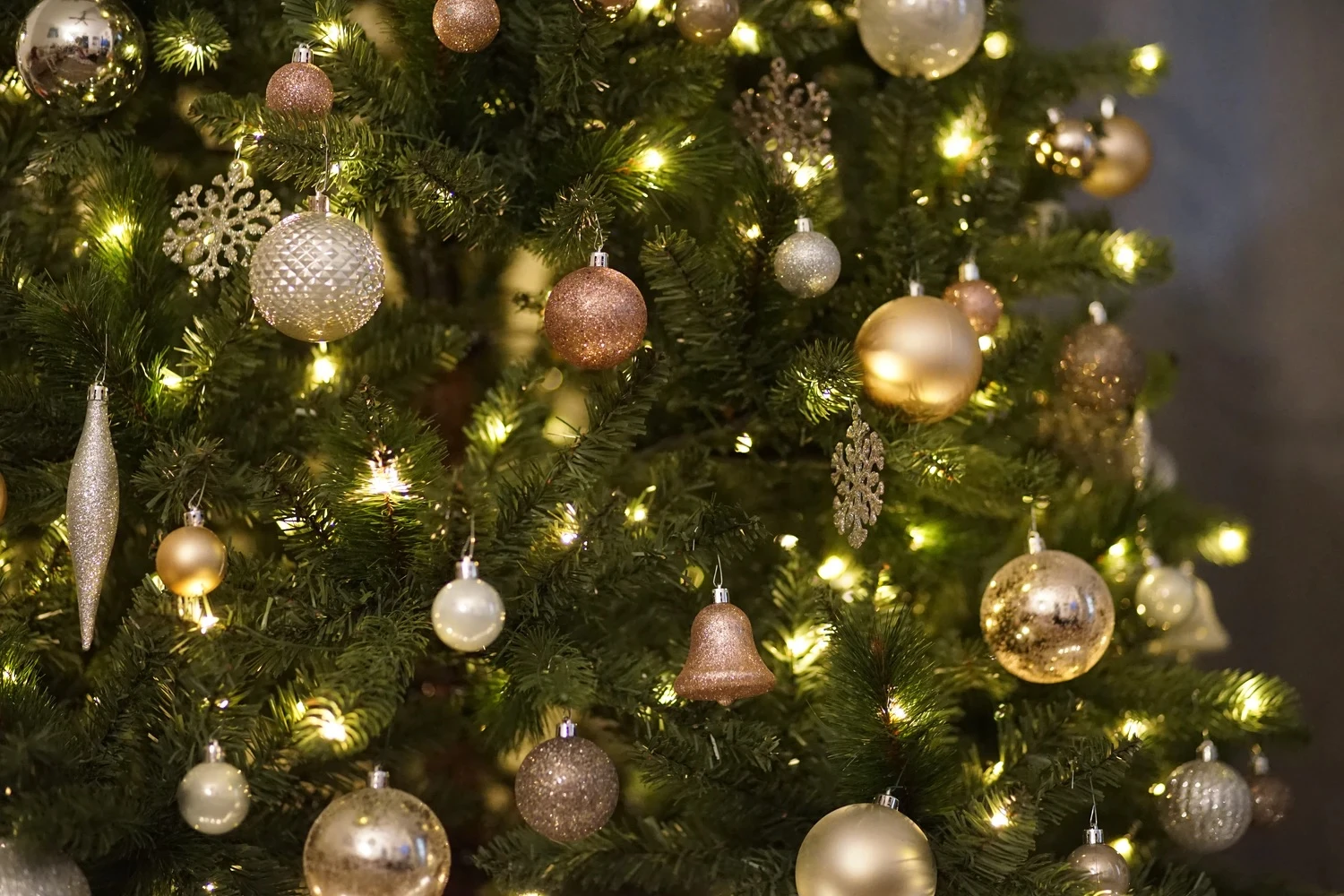Advent u Neumu počinje zajedničkim kićenjem bora