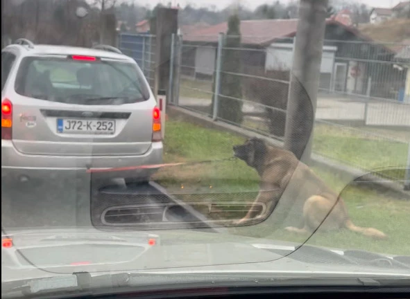 VIDEO | Tuzlak zavezao psa za automobil i vukao ga po cesti