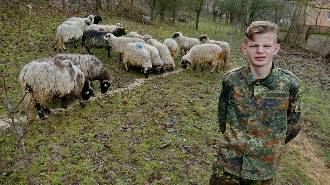 VIDEO: Esmiru ovce neprestano stižu, ovo je nevjerovatno