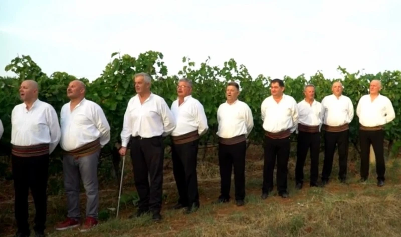 Poslušajte pjesmu o ljubavi ''Bećara'' prema vinu
