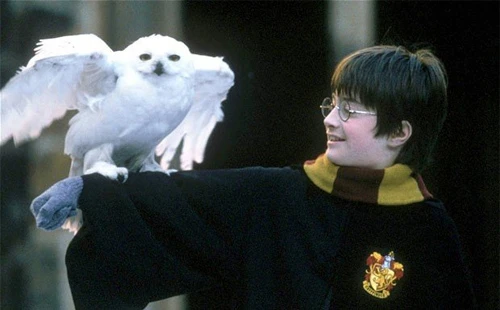 Nakon 20 godina ponovno se okuplja ekipa filma Harry Potter