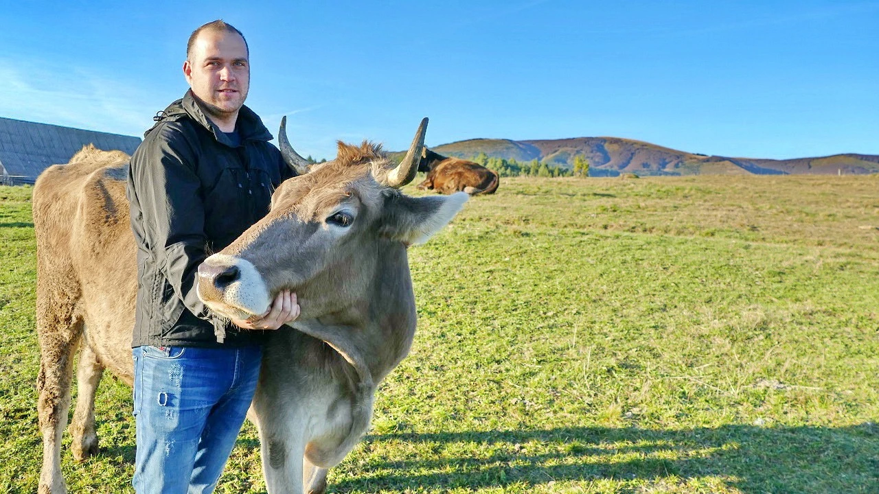 VIDEO Priča o ljubavi i poslu: Svi smo završili fakultete zahvaljujući kravama