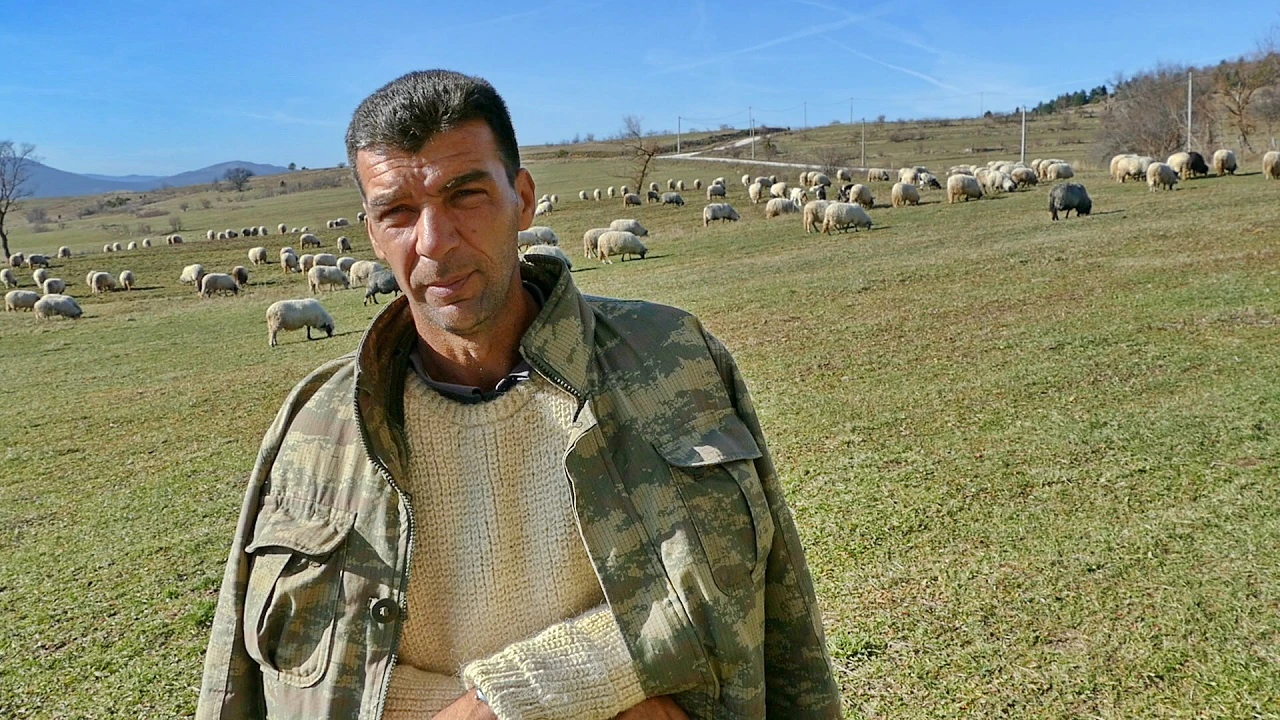 Ovčar Hasan: Imam kera ne bi ga dao za 5000 maraka