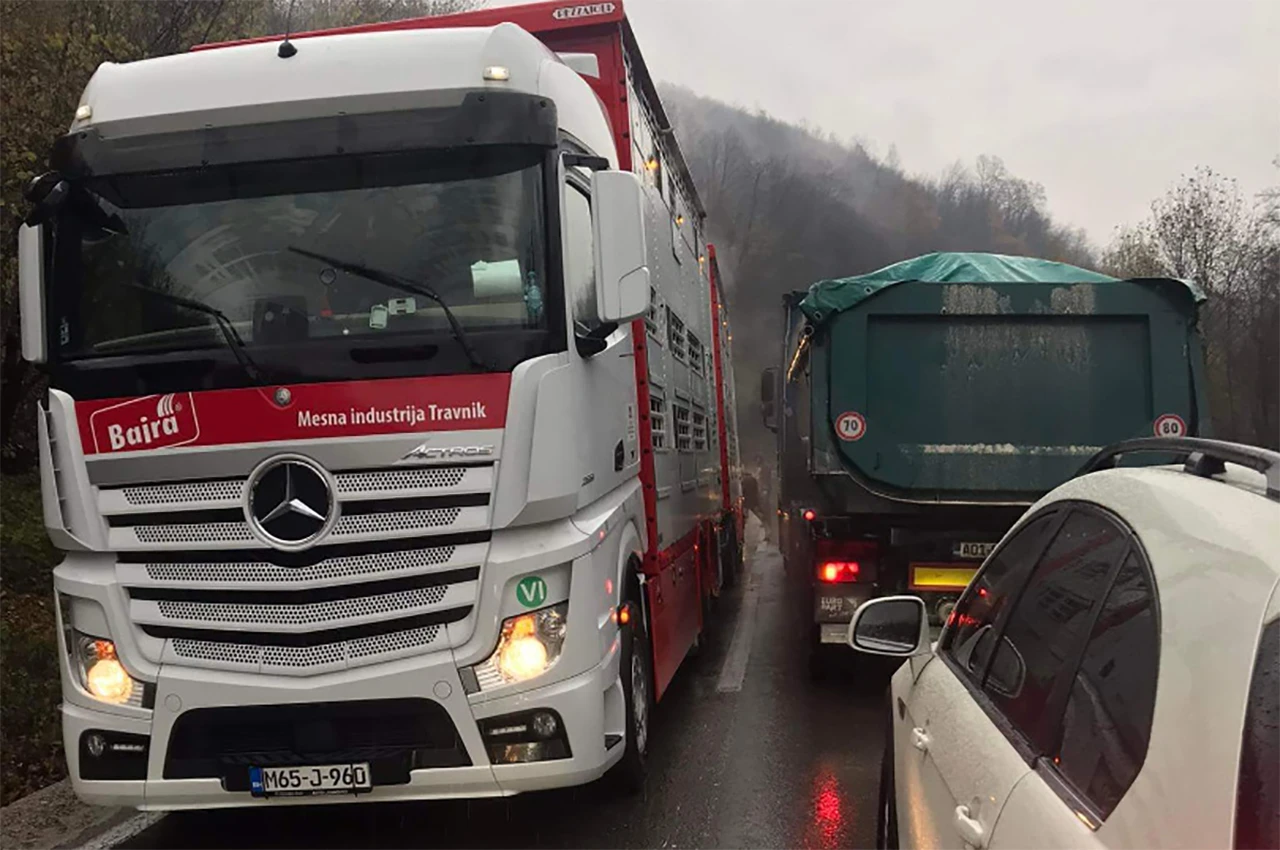 Na bh. cestama dogodi se i to: Iz kamiona ispale tri krave