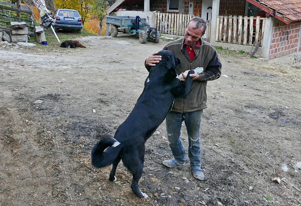 VIDEO Živi kao Robinzon, vuk mu podavio 26 koza, a ima samo jednu želju