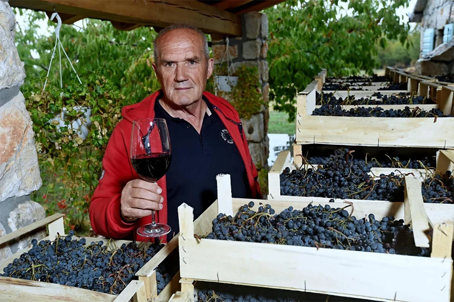 Louie Mikulić: U jednoj sam godini imao prihod od 40 milijuna dolara, kupio 19 kuća u Vancouveru