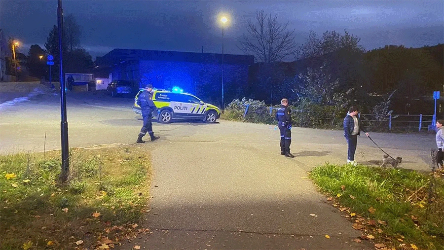 Napad lukom i strijelom u Norveškoj, nekoliko ljudi ubijeno