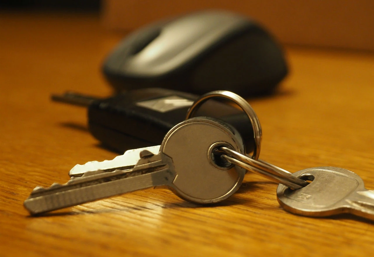 Automobili otkrivaju iseljavanje iz BiH?