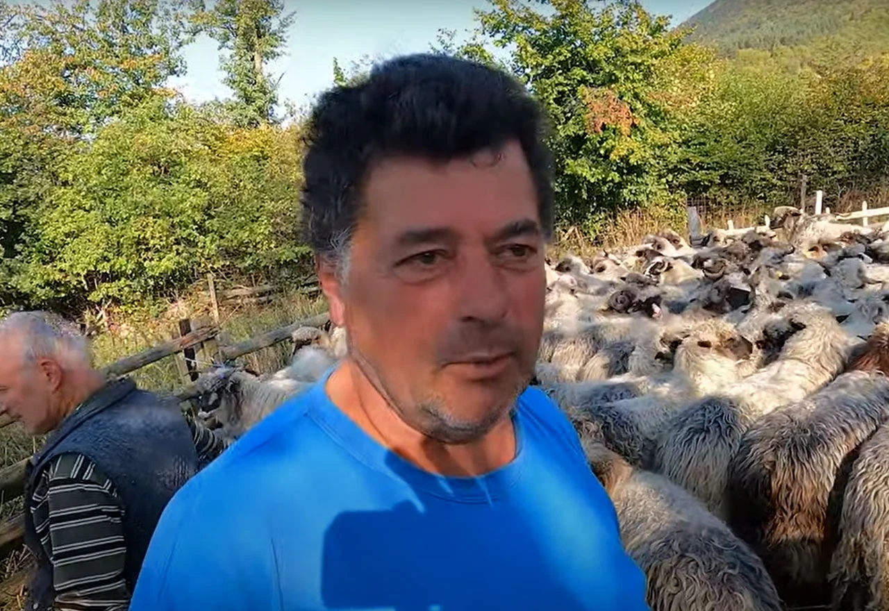 Napustio Njemačku bauštelu zbog čuvanja ovaca