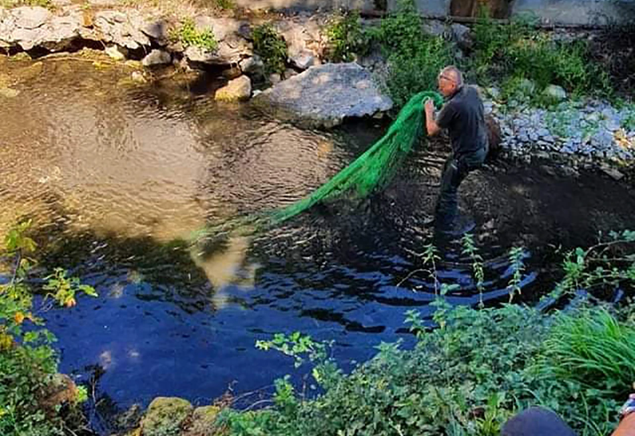 Tko (krivo)lovi na Radobolji: Bačena mreža i četiri ribe