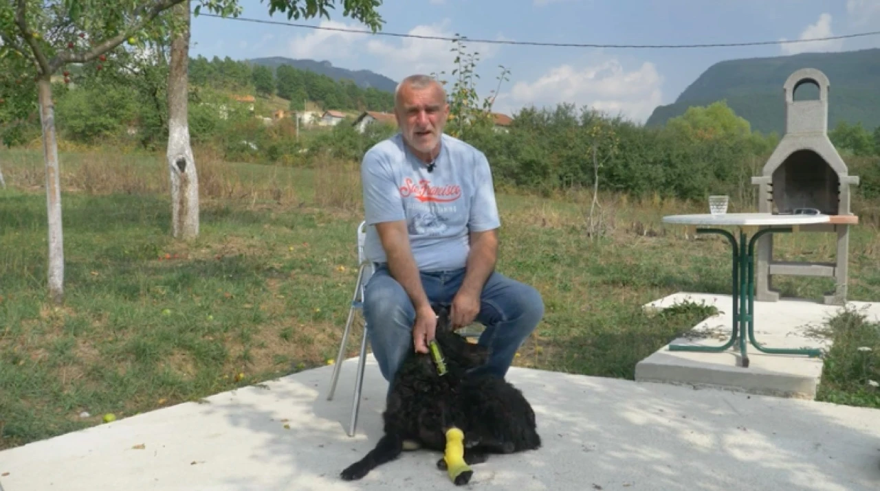 Pogledajte ovu neobičnu priču: Ante i Floki, jedan drugome spasili život