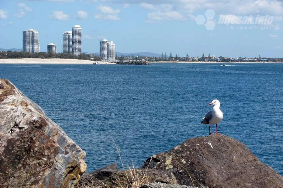 Australija otvara granicu 