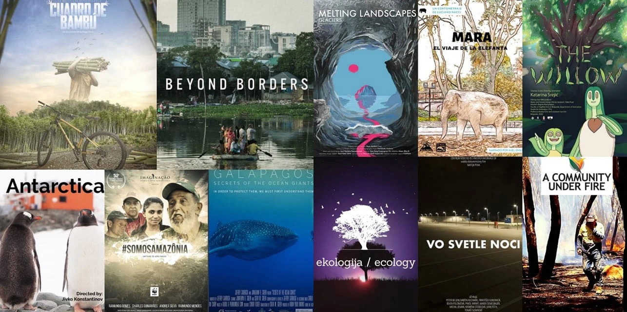 7. VIVA film festival: Završen natjecateljski dio, u subotu zatvaranje i ...