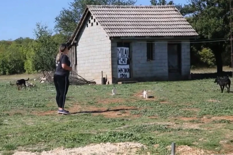 Upoznajte Bogdanku, djevojku koja se sama brine o napuštenim psima iz okolice Mostara