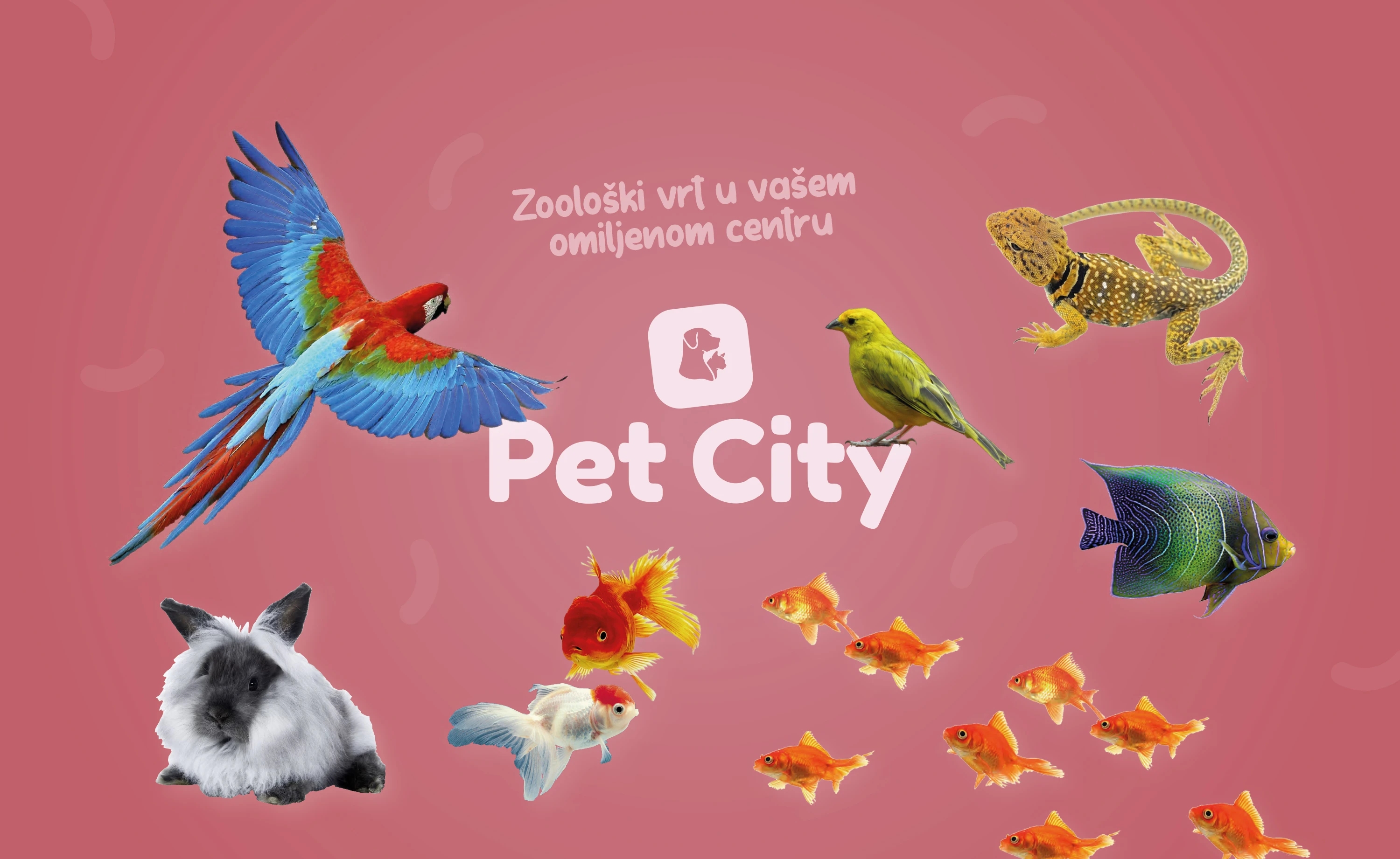 Najmoderniji Pet Shop otvara svoja vrata u Mepas Mall-u!