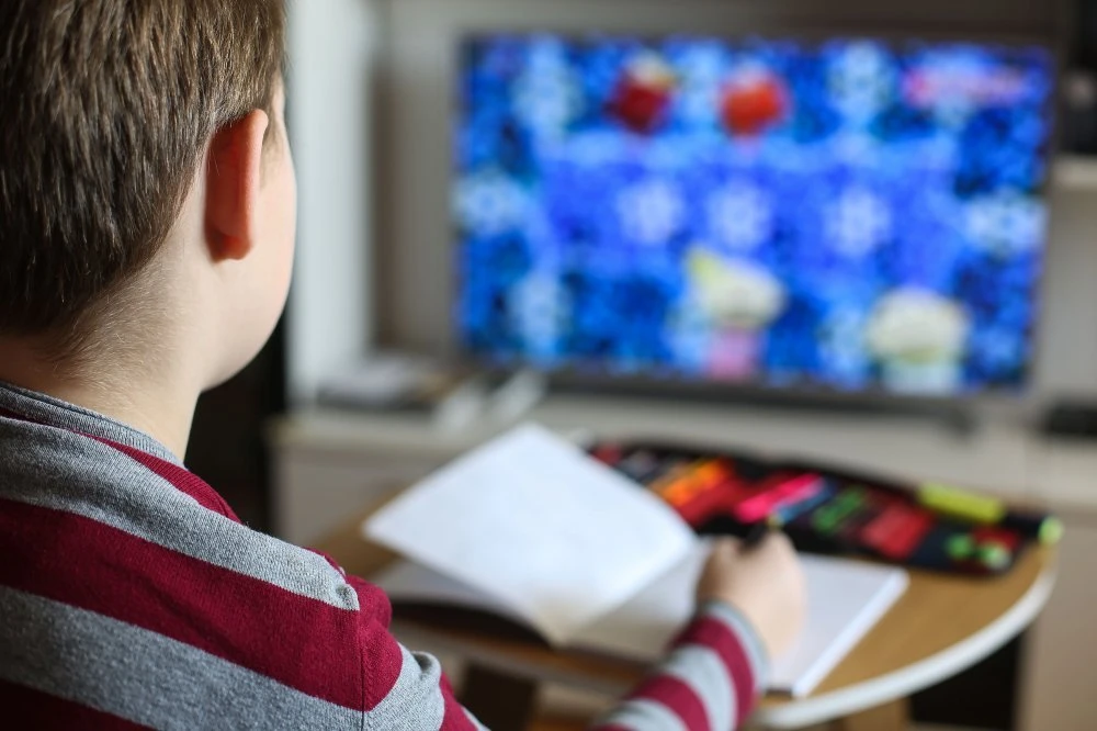 Online nastava u BiH: Bez sustavnih rješenja