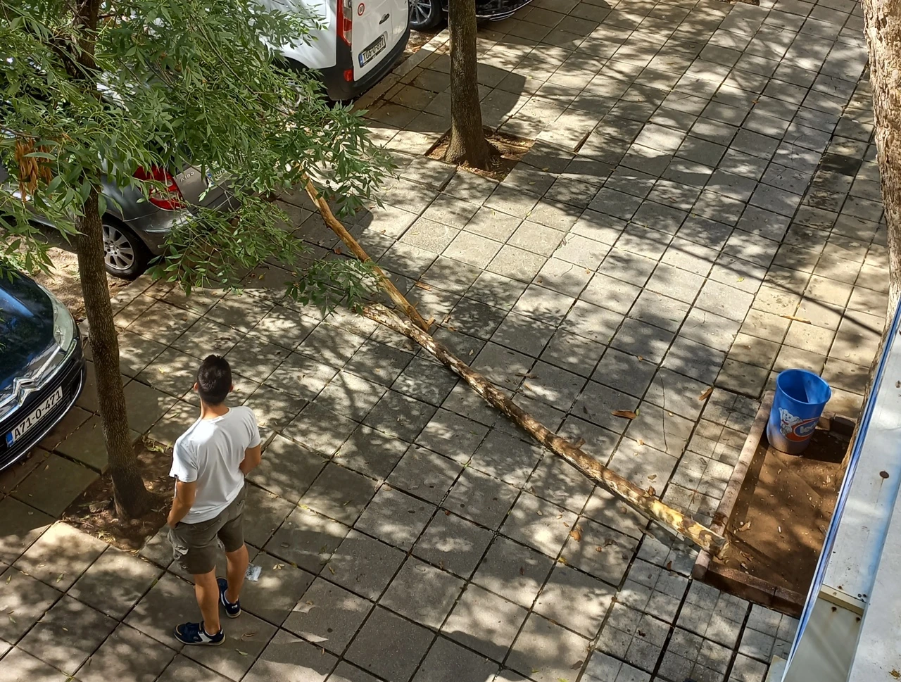 Apel iz Centra 2: Otpala grana, moglo bi i stablo