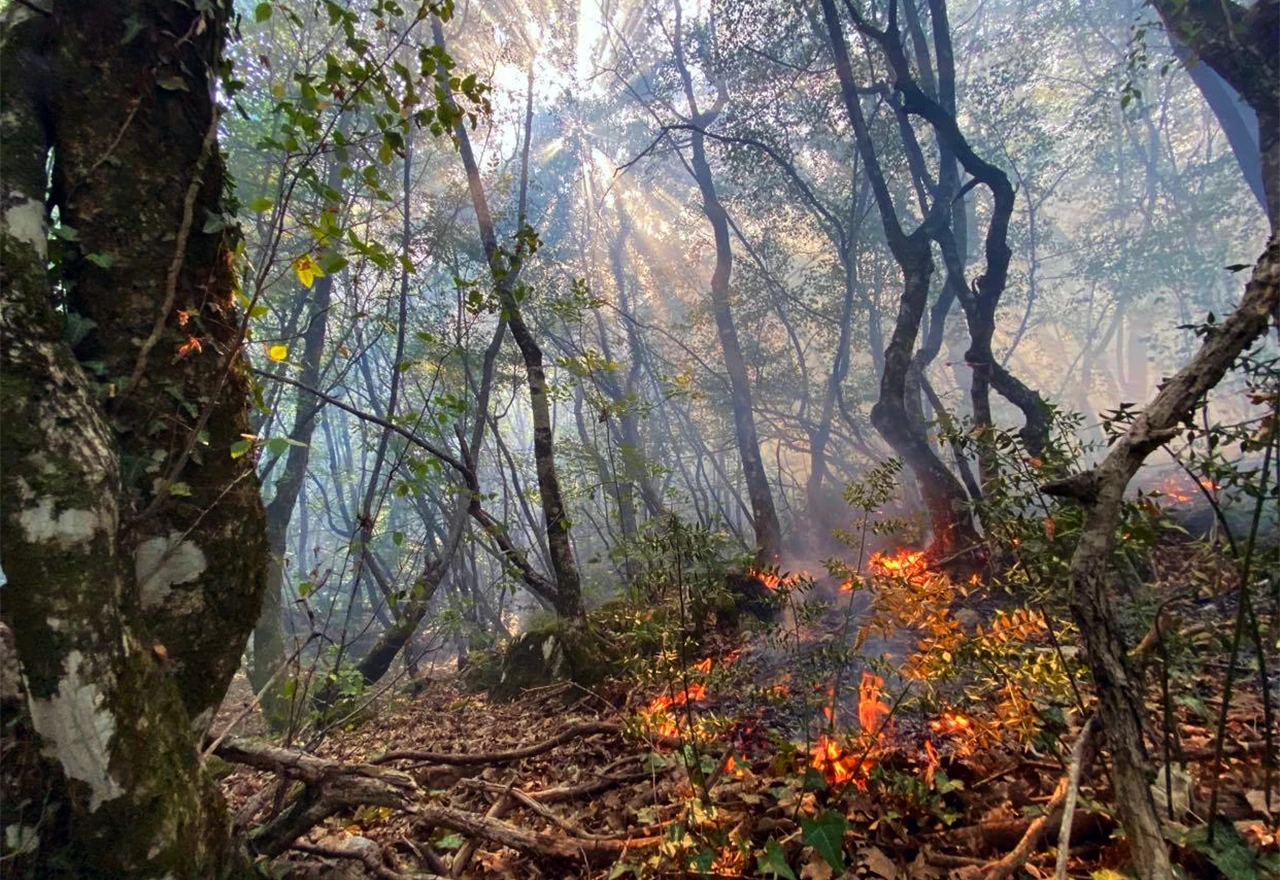 Četiri šumska požara u Trebinju, svi vatrogasci na terenu 