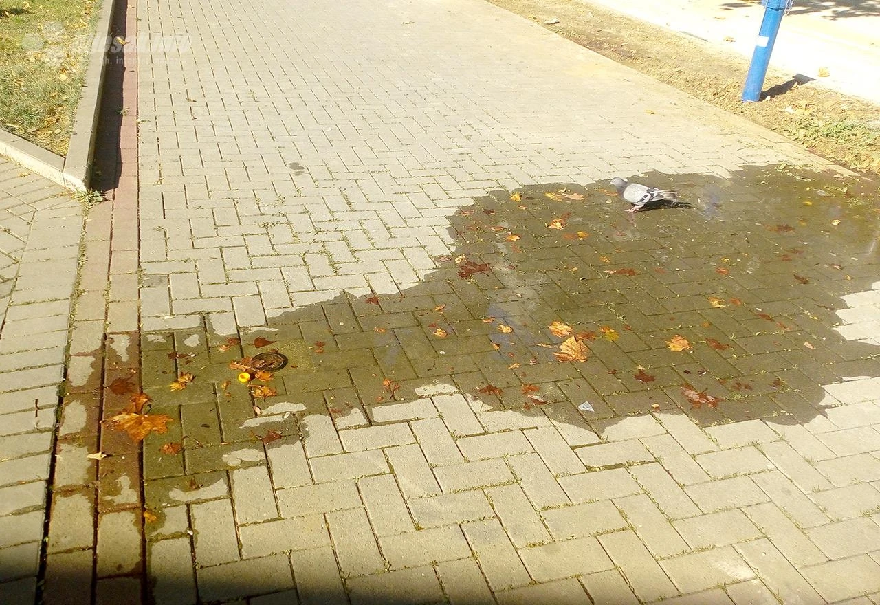 Nevidljivi izvor u Mostaru