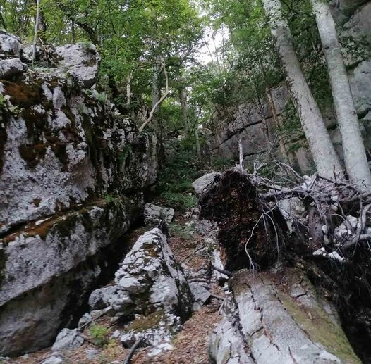GSS Mostar: Uspješno završena akcija spašavanja kod Prenja