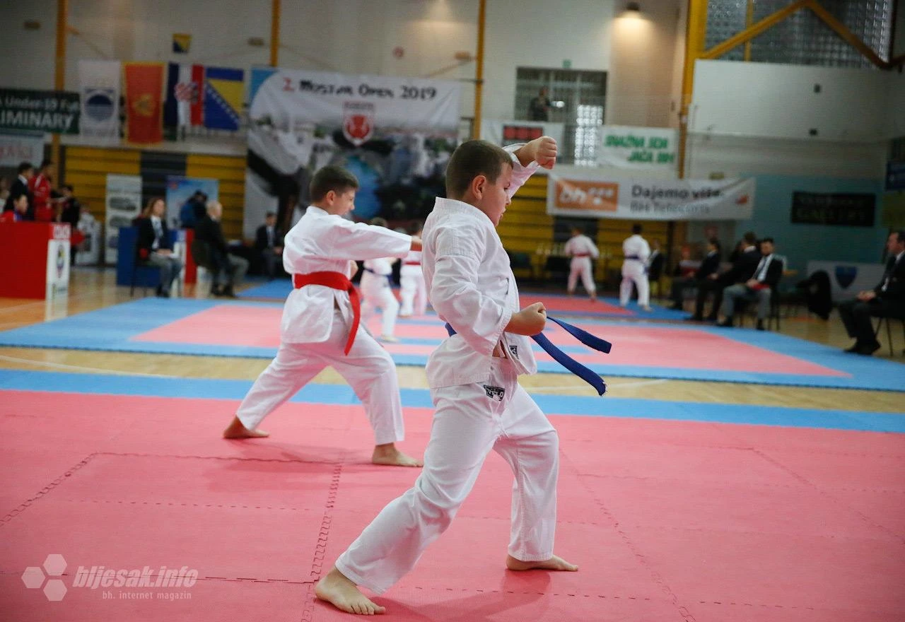 Karate neće biti na programu OI u Parizu