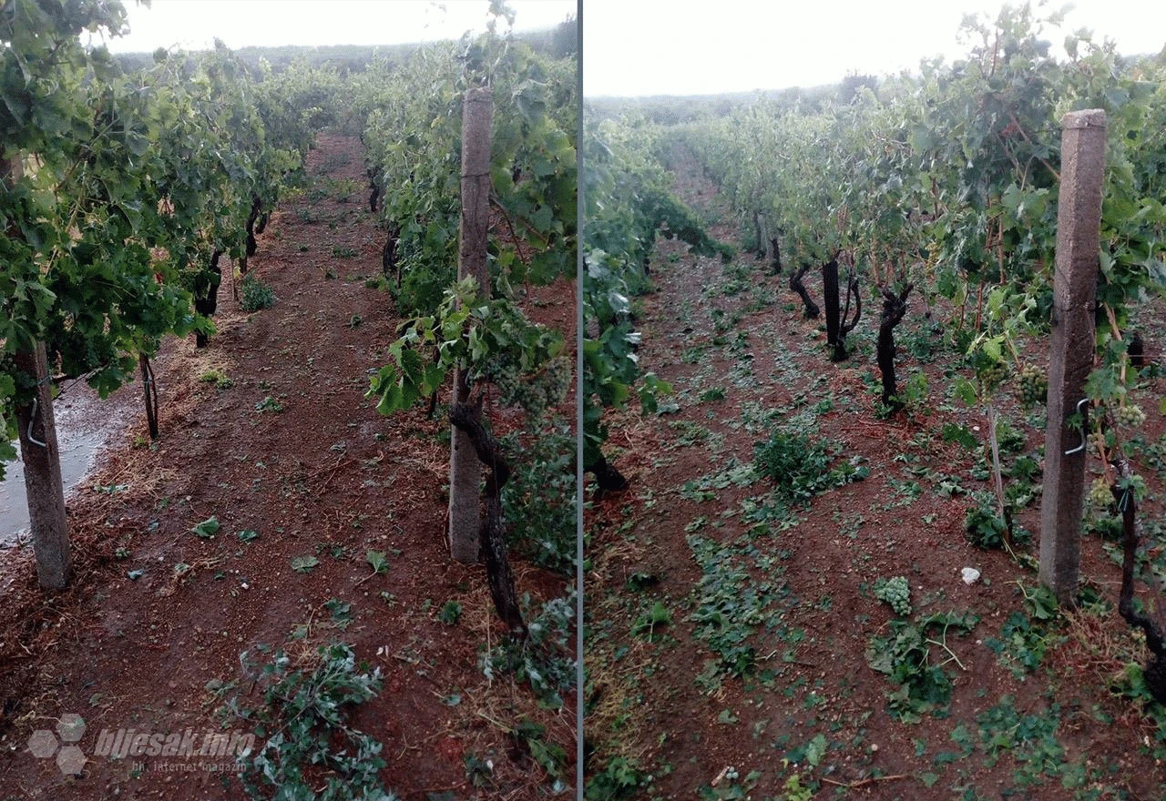 Jako nevrijeme pričinilo značajnu štetu vinogradarima u Čulama