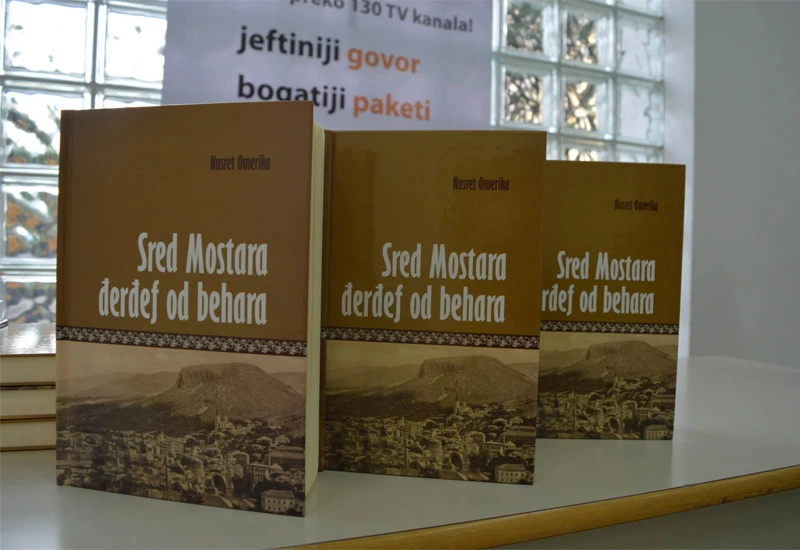 "Motivi u sevdalinkama, baladama i romansama čine poeziju uzvišenom"