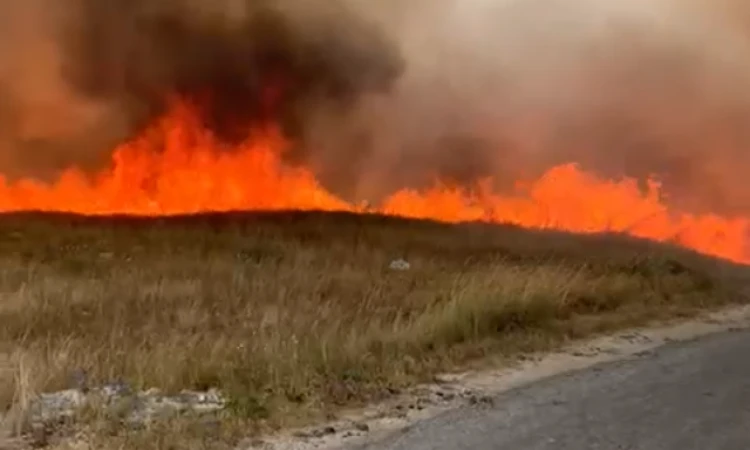 Kiša spasila od katastrofe Roško Polje