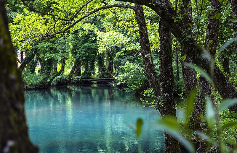 Prašuma Јanj kod Šipova uvrštena na UNESCO-vu listu