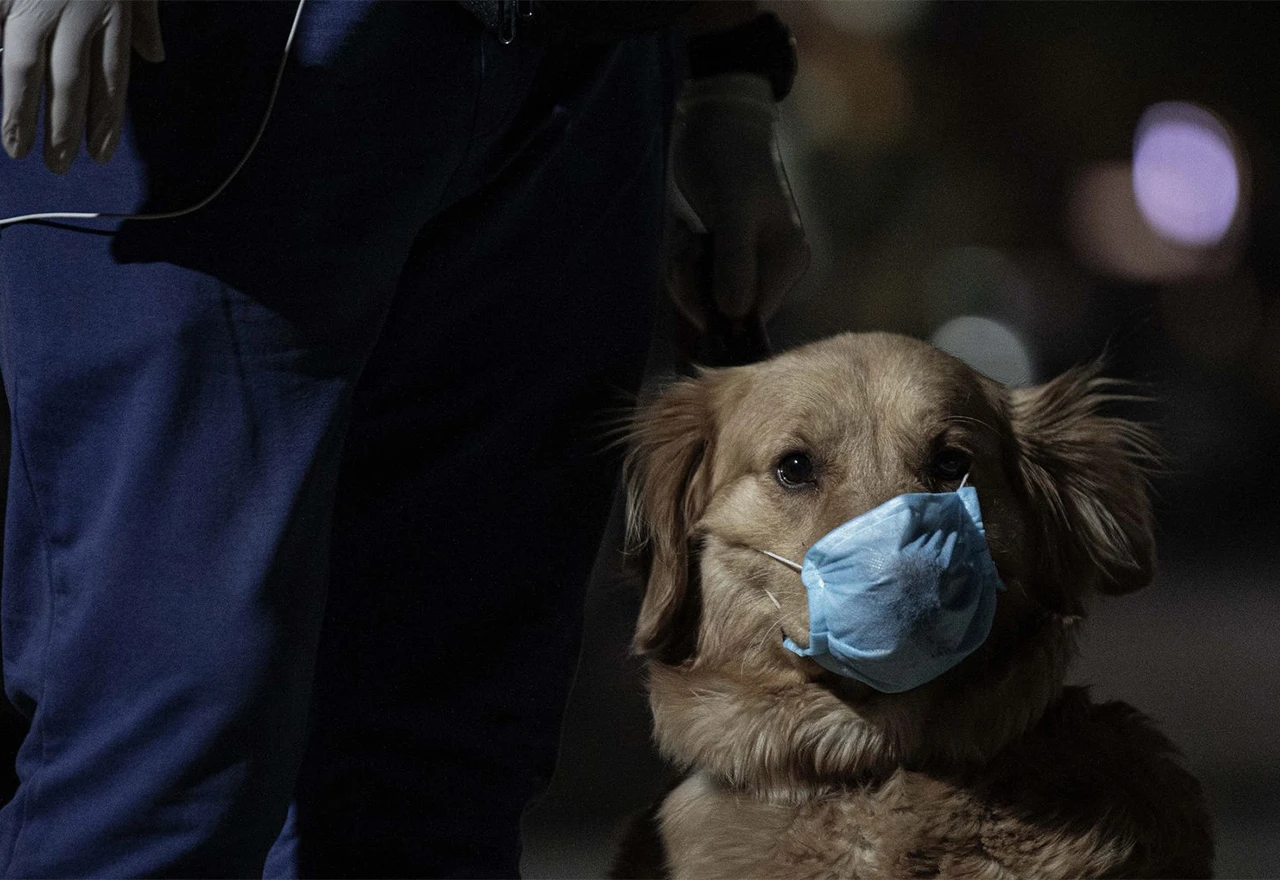 Od danas na snazi: Strože epidemiološke mjere u Hrvatskoj