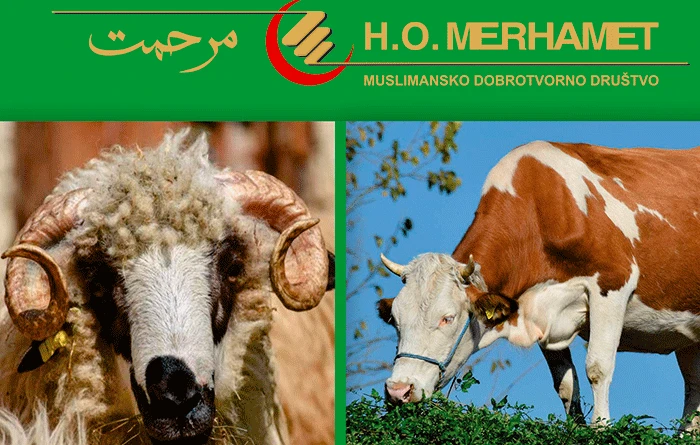 Osigurajte kurban onima koji su u potrebi