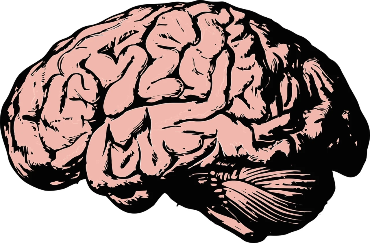 BiH ima 528 člana Mense s IQ većim od 148