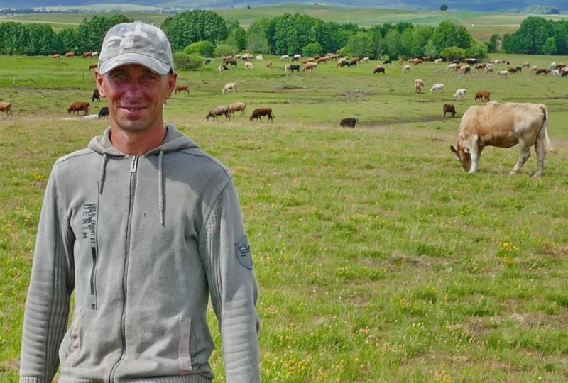 Čuva 500 krava, ne želi više raditi na građevini