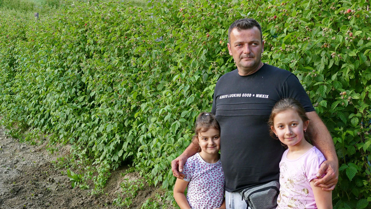 Upornost se itekako isplati: Mujo bi ove sezone malina mogao zaraditi 60 tisuća KM