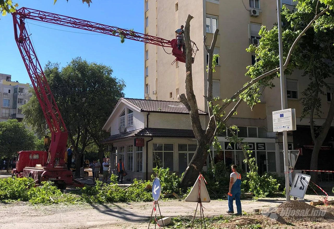 Mostar: Još jedno stablo na krivom mjestu u krivo vrijeme
